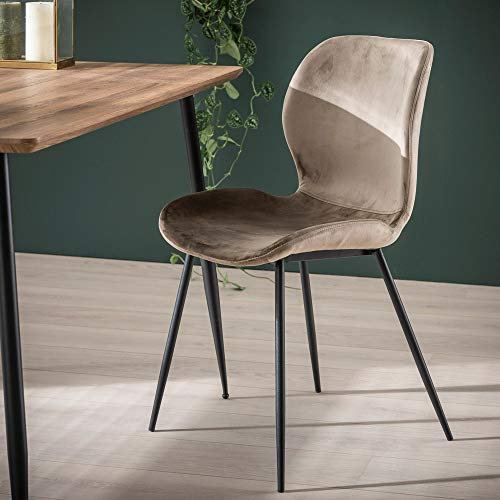 Maison ESTO 4er Set Esszimmerstuhl Samt Velvet Rundrohr Vierfußstuhl Esstischstuhl Stuhl (Champagner)
