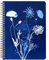 Clairefontaine 83504C - Un Carnet A Spirale motifs Floral / Cyanotype - A5 14,8x21 cm 148 Pages Lignées papier Blanc 90g - Papier à grain - Collection Cyanotype - 4 visuels livraison aléatoire