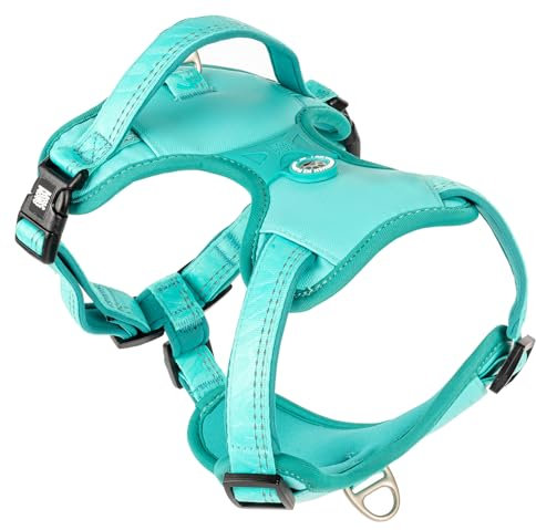 Max & Molly Sport Hundegeschirr Mittelgrosse Hunde mit Gotcha! Smart ID Sicherheitsanhänger, Matrix 2.0 Türkis/M, Geschirr Hund Gepolstert & Reflektierend - Komfort für deinen treuen Begleiter