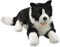 Carl Dick Border Collie liegend, Hund, Plüschtier, Kuscheltier ca. 60cm 2695