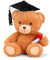 Lashuma Plüschtier Bär, Pipp The Bear Abitur Abschluss, Kuscheltier Diplom Teddybär mit Kleidung 15 cm