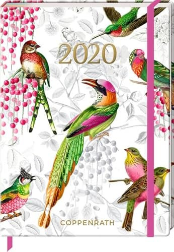 Mein Jahr 2020 (Bunte Vögel) (Jahreskalender)