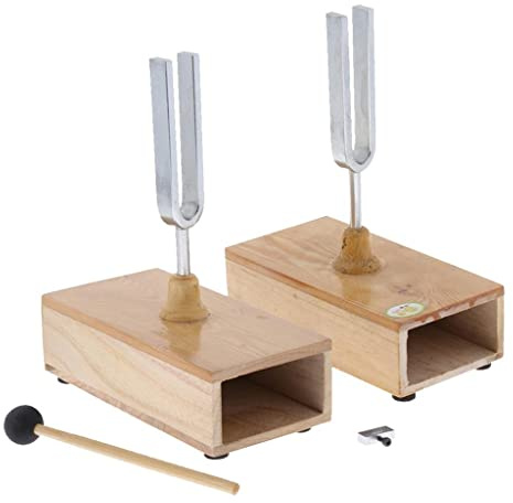 Resonant Stimmgabel Set 440HZ mit Holzkiste & Hammer - Perfektes Laborbedarf und Lehrwerkzeug - Akustische Wissenschaft Werkzeuge für Studenten und Profis