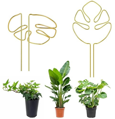 Ltsbaed Lot de 2 Support Plante Monstera, Support pour Plantes, Piquets de Soutien pour Plantes de Jardin, Pour plantes d'extérieur et d'intérieur - Doré