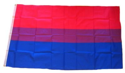 Fahne/Flagge Bi Pride NEU 90 x 150 cm Flaggen Fahnen