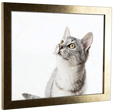 myposterframe Komfort Juno 50 x 60 cm Rahmen Gold antik