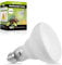 LUCKY HERP 150W Reptile Heat Lamp Bulb, Basking Spot Heat Lamp for Reptiles,Vivarium Light for Amphibian, Chicks, Dog Heating Use