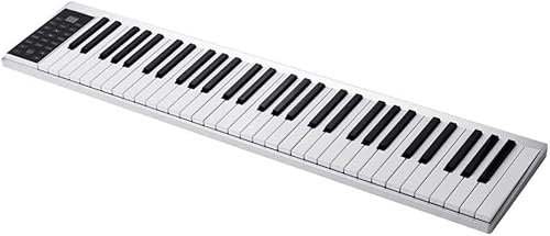 ZCSYWV Piano Tastiera Elettrico, Tastiera di Pianoforte elettronico a 61 Tasti Uscita Midi 128 Toni 128 ritmi 14 brani Demo Registrazione Programmazione