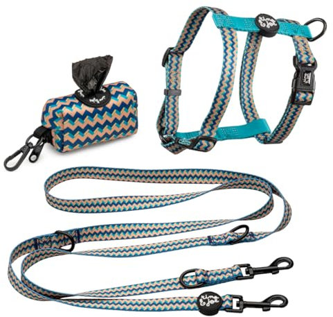 Rino & Joe, Pack Pettorina ad H, Guinzaglio Multiposizione 2m e Porta Sacchetti (S, ZIG ZAG)