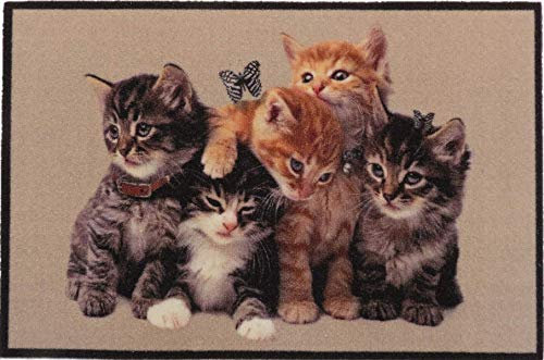 oKu-Tex Design Fußmatte Katzen Kätzchen Kitten, lustiges & niedliches Motiv, braun, rutschfest & waschbar, 50 x 80 cm, Deko Dekorativ…