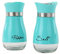 Servette Home Salt & Pepper Shakers - Aqua Glass with Stainless Steel Accents