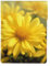 Housse pour ordinateur portable 13 pouces en cuir PU résistant aux chocs Motif floral jaune