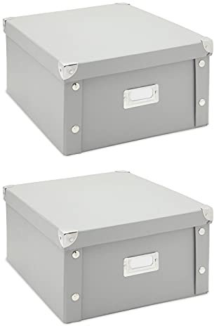 DVD- und CD-Aufbewahrungsboxen, 2er-Set mit Trennwänden (27,3 x 15,2 x 34,0 cm, Grau)