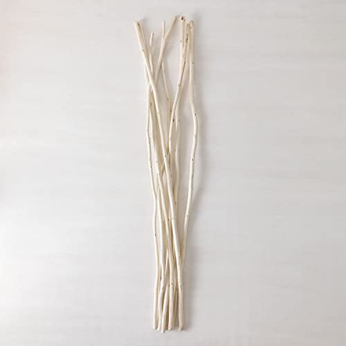 SKLUM Pack de 8 Ramas secas Decorativas Olitorius -