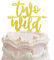 Zwei wilde Geburtstagstorten-Topper, doppelseitig, goldfarben, glitzernd, zweiter Geburtstag, Kuchen-Picker für Baby-Party-Dekorationen zum 2. Geburtstag