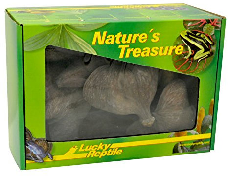 Lucky Reptile Nature`s Treasure - Deko Box