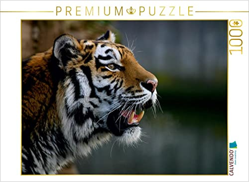CALVENDO Puzzle EIN Motiv aus dem Kalender Tiger - die leisen Jäger des Dschungels | 1000 Teile Lege-Größe 64 x 48 cm Foto-Puzzle für glückliche Stunden