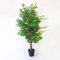 BLAINE | Ficus 100cm |Plantas Artificiales Decorativas |Planta Artificial Grande |Plantas Artificiales para Interior/Exterior | Planta Artificial Realista Decorativa para Casa |Sin Cuidados