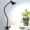 Lzonunl Desk Lamp Clip Light,3 Light Modes 5 Dimmable Brightness Book Reading Light, Eye-Caring Bedside Lamp, Flexible Neck Table Clamp Lamp for Office, Bedroom, Work, Study(Black)