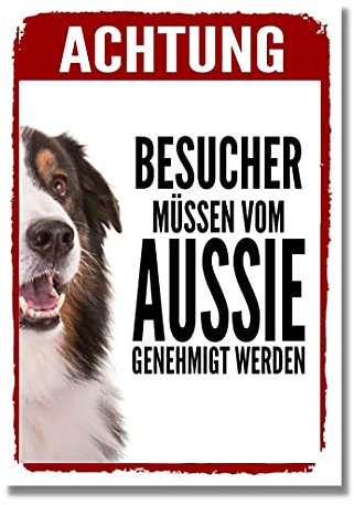 Australian Shepherd 2 Genehmigung Dog Schild Spruch Türschild Hundeschild Warnschild Geschenkidee Sicherheitsschild Hund Privatgrundstück Hundewarnung Warnung vor dem Hund