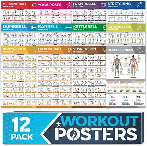 Laminiertes großes Workout-Poster-Set – perfekte Workout-Poster für das Fitnessstudio zu Hause – inkl.Übungstabellen, 12er-Set Hantel-, Yoga-Posen, Widerstandsband-, Kugelhantel-, Stretching- usw.