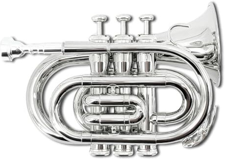 WUQIMUSC Messing Pocket Trompete Bb Schlüssel vernickelt mit Mundstück 7C, Reinigungsset, Tragetasche, Handschuhe für Anfänger/Studenten (Silber)