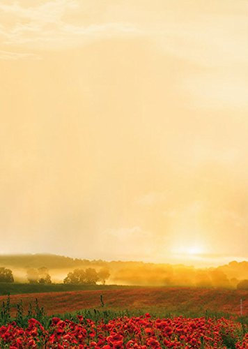 Natur Designpapier Motivpapier Goldener Herbst, 100 Blatt Briefpapier DIN A4, 90g/qm