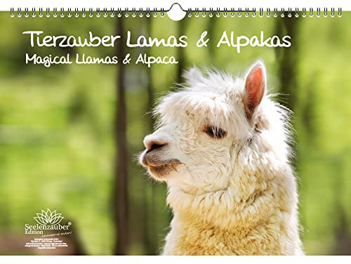 Lamazauber Immerwährender Kalender DIN A3 Lama Alpaka - Seelenzauber