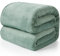 EHEYCIGA Fleece Blanket Throws for Sofas Fluffy Warm Soft Blanket for Bed Settees Armchairs, Fit All Season, Sage Green, 150x200cm