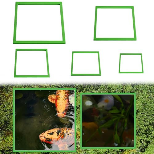 XIHIRCD 5 Pezzi di Anelli per Piante Acquario, Anelli Quadrati per l'Alimentazione dei Pesci in Schiuma Anelli per Acquari per Mantenere le Piante Galleggianti in Posizione (Verde)