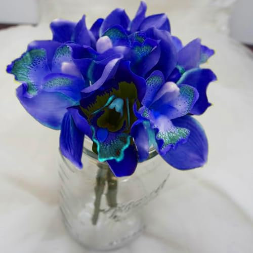 Bulbi di Cymbidium, bulbi da fiore di alta qualità, resistenti al freddo, fiori perenni, eccellenti fiori ornamentali, adatti per la decorazione di interni ed esterni-3 Bulbos-A