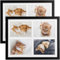bomoe 2x Bilderrahmen Collage für 4 Fotos 10x15 cm – Fotorahmen Collage aus Holz, Kunststoffglas, Metall-Aufhängung & Passepartout Multirahmen für Bilderrahmen Set – Bilderrahmen 10x15 Schwarz Galeria