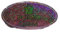Porno Queen Lasersticker 18cm Sticker Aufkleber Glitzersticker GOR 29/3209 M10