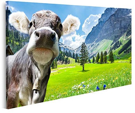 Bild auf Leinwand Kuh in den Schweizer Alpen Wandbild Poster Kunstdruck Bilder 80x40cm