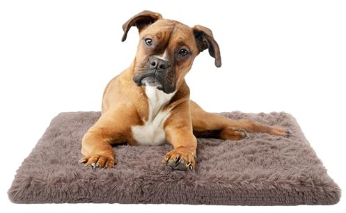 Paco Home Hundebett Katzenbett Flauschig Hundekissen Donut Hundedecke Hund Katze Hundekörbchen Katzenkorb Waschbar, Farbe:Beige, Größe:50x80 cm