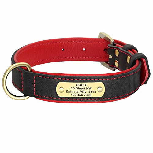 mypfote.com Exklusives Leder Hundehalsband mit großer Gravurplatte und gratis Gravur von Name und Telefon, für mittlere und große Hunde Schwarz/L 43-55cm