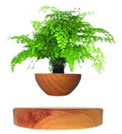 LMingKun Pflanztöpfe, schwebender Blumentopf, magnetische Schwebepflanzung, schwimmender Blumentopf, hängende Blumentöpfe, hängender Blumentopf, schwimmender Blumentopf, hängende Pflanzgefäße für