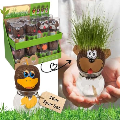 Bada Bing 16er Set DIY Tier Graskopf inkl. Wasserbehälter Waldtiere, Bär, Fuchs, Elch und Bieber Tierkopf mit Rasensamen Experiment für Kinder, Spaß mit Lerneffekt Geschenk zu Ostern Kindergeburtstag