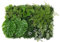Hangarone Pflanzenwand Künstliche Hecke Hängepflanzen Pflanzenbild, Matte Mit Künstlichen Pflanzen, Pflanzenbild für Wandbegrünung, Sichtschutz am Zaun oder Balkon, 40X60CM