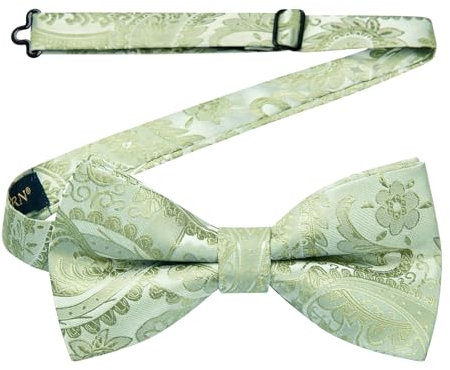 HISDERN Fliege Salbeigrün für Herren Vorgebunden Paisley Fliegen Einstellbar Fliege Smoking Anzug Hochzeit mit Haken