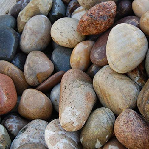 Meadow View Gravel Stone Garden Landscaping Chippings Various Decorative Aggregates Slate (Scottish Cobbles - 50-75mm)