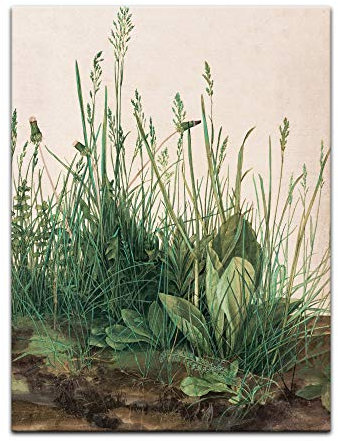 Kunstdruck Poster - Albrecht Dürer Das große Rasenstück 30x40 cm ca. A3 - Alte Meister Bild ohne Rahmen
