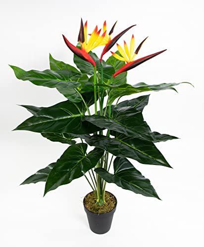 Seidenblumen Roß Strelitzie Real Touch 70cm im Topf ZJ künstliche Strelitzienpflanze Kunstblumen Paradiesvogelblume