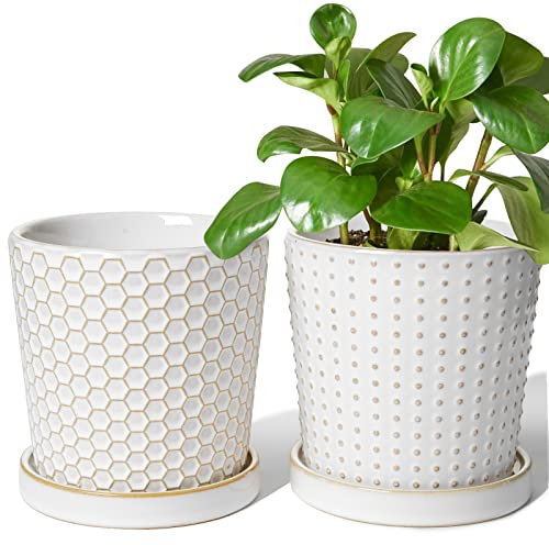 LE TAUCI Ceramic Plant Pots, 13.5 cm Pots for Indoor Plants, Planters with Drainage Hole and Saucer, Flower Pots for Succulent, Snake Plants and Cactus, Set of 2, Reactive Glaze White