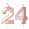 Rose Gold 24 Birthday Candles for Cake - Number 24, Perfect for 24th Birthday Cake Toppers