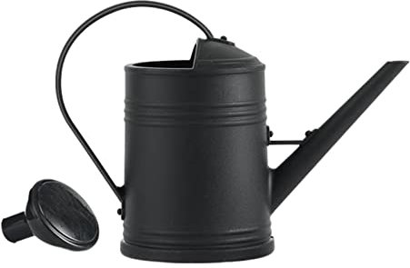Sharplace 2 Liter Gießkanne für Haus & Garten, Kunststoff-Gartengießkanne mit abnehmbarem Sprühkopf, Blumengießkanne ideal für die Bewässerung von Blumen, Pflanzen, Bäumen im Freien, Schwarz