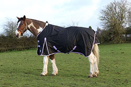 JUMP EQUESTRIAN 50G FILL HORSE TURNOUT RUG LIGHTWEIGHT STANDARD NECK HORSE RUG WATERPROOF (6'6'', BLACK)