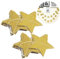 CIMAXIC 2 Stück Dekorative Girlande Geburtstagsdekorationen Lametta Girlande Weihnachtsschmuck Streamer Weihnachtsdekoration Neonstern Golddekor Vorhang Lichterketten Baum Tür Golden
