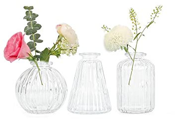 Small Vases for Flowers EylKoi - 3pcs/set Bud Vase Glass Clear Different Shapes, Vintage Wedding Decor, Bud in Bulk for Centerpieces Small Glass Single Flower Vases for HomeEvents Table