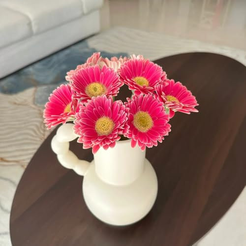 Gerbera samen、 gerbera pflanze samen、 blumen garten、pflanzen für sonnige plätze gartenpflanzen、langer Blütezeit für eine bonsai topf、schnittblumen samen geschenke für 300pcs